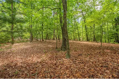 731 Jim Anderson Road, Dahlonega, GA 30533 - Photo 51