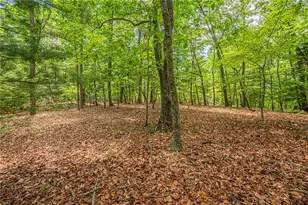 731 Jim Anderson Rd, Dahlonega, GA 30533 - Photo 51