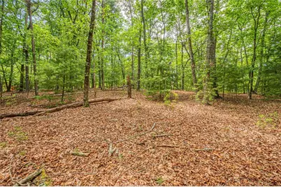 731 Jim Anderson Road, Dahlonega, GA 30533 - Photo 49