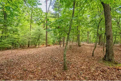 731 Jim Anderson Road, Dahlonega, GA 30533 - Photo 53