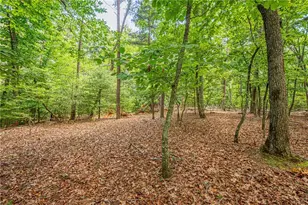 731 Jim Anderson Rd, Dahlonega, GA 30533 - Photo 53
