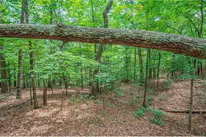 731 Jim Anderson Road, Dahlonega, GA 30533 - Photo 57