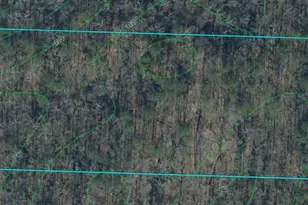 Lot 1 Wildcat Rd, Buchanan, GA 30113 - Photo 23