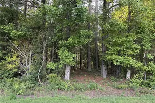 Lot 1 Wildcat Rd, Buchanan, GA 30113 - Photo 21
