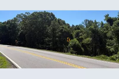 7057 Hwy 81 - Tract 8, Monroe, GA 30656 - Photo 3