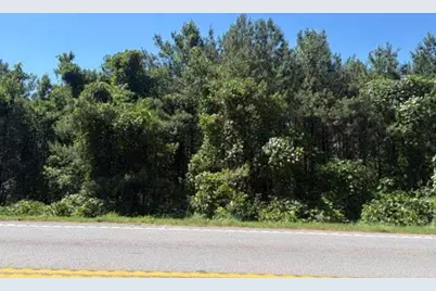 7057 Hwy 81 - Tract 8, Monroe, GA 30656 - Photo 5