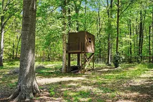 118 Country Acres Ct, McDonough, GA 30253 - Photo 45