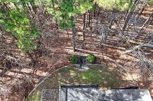 221 Copper Leaf Way, Dallas, GA 30132 - Photo 45