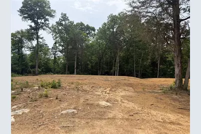 0 Ronnie Road, Cedartown, GA 30125 - Photo 3