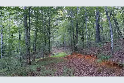 0 Highway 136 W, Talking Rock, GA 30175 - Photo 15
