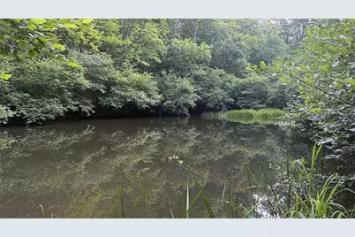 0 Highway 136 W, Talking Rock, GA 30175 - Photo 13