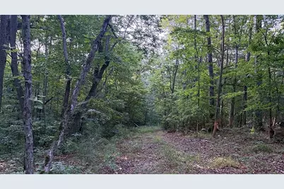 0 Highway 136 W, Talking Rock, GA 30175 - Photo 17