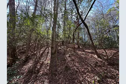 0 Coffee Mill Run, Talking Rock, GA 30175 - Photo 5