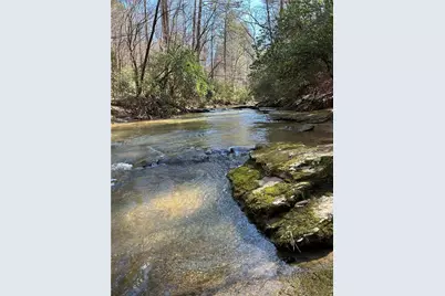 0 Coffee Mill Run, Talking Rock, GA 30175 - Photo 3