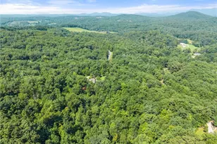1401 Adair Mill Rd, Cleveland, GA 30528 - Photo 27