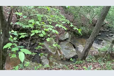 01 Highway 136 West, Talking Rock, GA 30175 - Photo 15