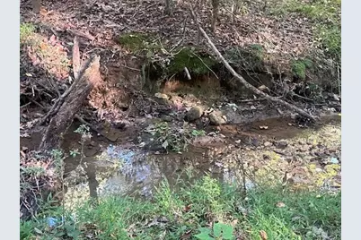 01 Highway 136 West, Talking Rock, GA 30175 - Photo 11