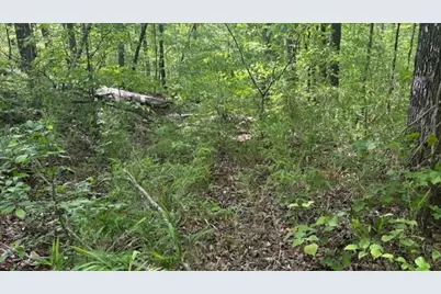 01 Highway 136 West, Talking Rock, GA 30175 - Photo 13