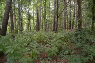 3040 Land Rd, Alpharetta, GA 30004 - Photo 25