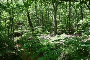 1933 N Hwy 101, Dallas, GA 30157 - Photo 37