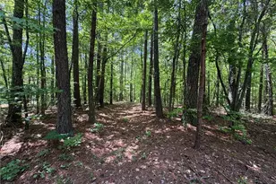 1933 N Hwy 101, Dallas, GA 30157 - Photo 35