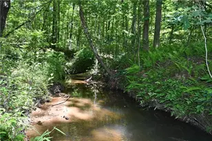 1933 N Hwy 101, Dallas, GA 30157 - Photo 39