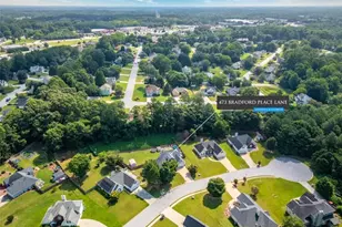 473 Bradford Pl Ln, Loganville, GA 30052 - Photo 3