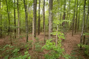 4321 Hwy 186, Good Hope, GA 30641 - Photo 25