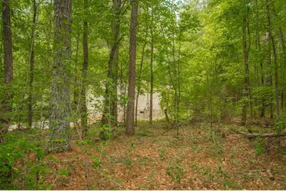 4321 Highway 186, Good Hope, GA 30641 - Photo 29
