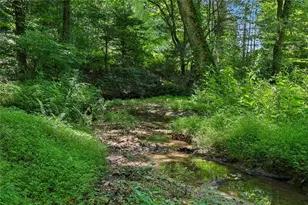 4218 Roy Rd, Ellijay, GA 30536 - Photo 73