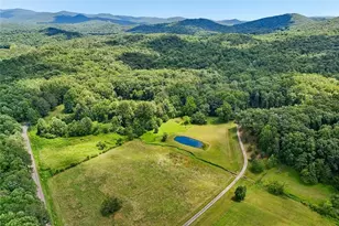 4218 Roy Rd, Ellijay, GA 30536 - Photo 93