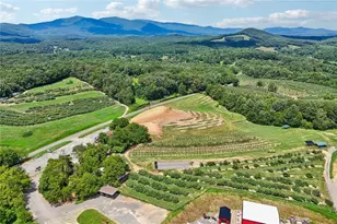 4218 Roy Rd, Ellijay, GA 30536 - Photo 99