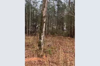 6661 Highway 42, Rex, GA 30273 - Photo 5