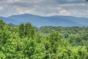 2086 Burnt Mountain Rd, Ellijay, GA 30536 - Photo 133