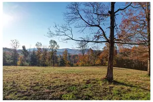 2086 Burnt Mountain Rd, Ellijay, GA 30536 - Photo 7