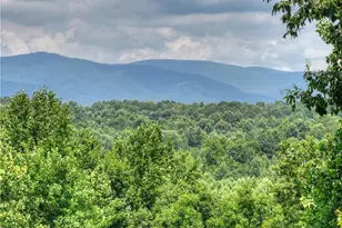 2086 Burnt Mountain Rd, Ellijay, GA 30536 - Photo 135