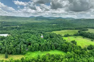 2086 Burnt Mountain Rd, Ellijay, GA 30536 - Photo 127