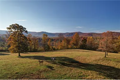 2086 Burnt Mountain Road, Ellijay, GA 30536 - Photo 147