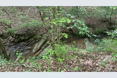 01 Hwy 136 West, Talking Rock, GA 30175 - Photo 3