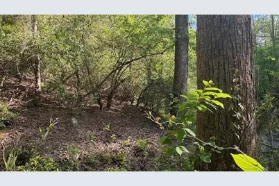 01 Hwy 136 West, Talking Rock, GA 30175 - Photo 11
