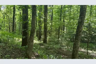 01 Hwy 136 West, Talking Rock, GA 30175 - Photo 19