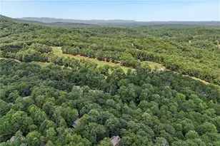 63 Choctaw Ridge, Big Canoe, GA 30143 - Photo 67