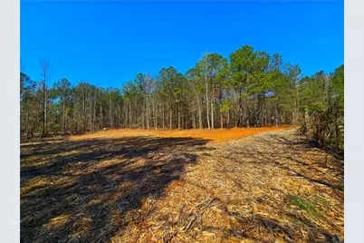 2001 Rocky Creek Road, Mansfield, GA 30055 - Photo 19