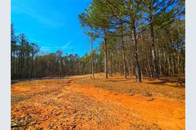 2001 Rocky Creek Road, Mansfield, GA 30055 - Photo 17