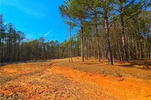 2001 Rocky Creek Rd, Mansfield, GA 30055 - Photo 17