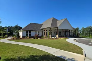 73 Rowlett Pl, Bethlehem, GA 30620 - Photo 67