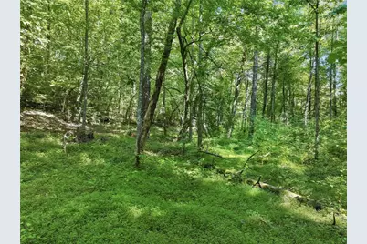 525 Etula Drive, Dahlonega, GA 30533 - Photo 11