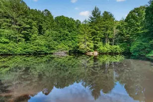 24 Twin Lakes Rd, Blue Ridge, GA 30513 - Photo 11