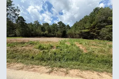 84 Popham Road Tract 2 & 3, Taylorsville, GA 30178 - Photo 1