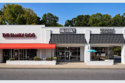1069 Woodbridge Hollow NE, Atlanta, GA 30306 - Photo 41